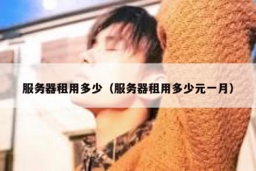 服务器租用多少（服务器租用多少元一月）