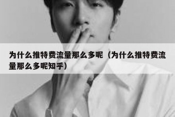 为什么推特费流量那么多呢（为什么推特费流量那么多呢知乎）