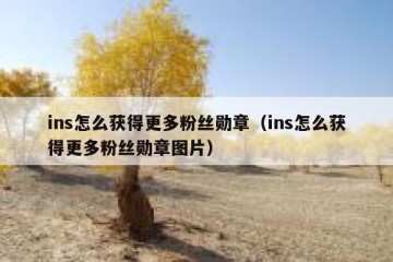 ins怎么获得更多粉丝勋章（ins怎么获得更多粉丝勋章图片）