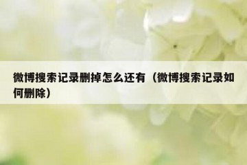 微博搜索记录删掉怎么还有（微博搜索记录如何删除）