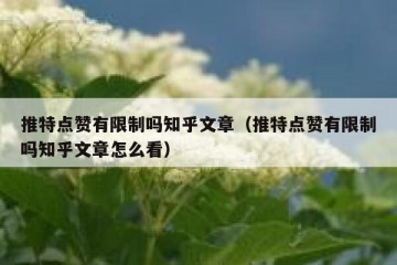 推特点赞有限制吗知乎文章（推特点赞有限制吗知乎文章怎么看）