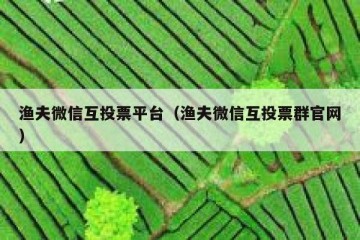 渔夫微信互投票平台（渔夫微信互投票群官网）