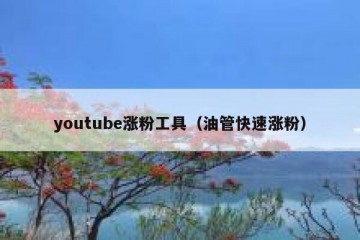 youtube涨粉工具（油管快速涨粉）