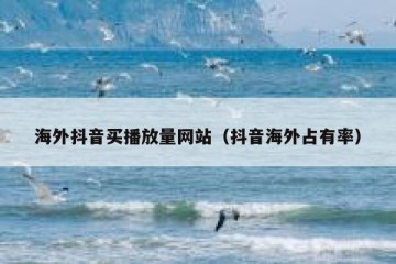 海外抖音买播放量网站（抖音海外占有率）