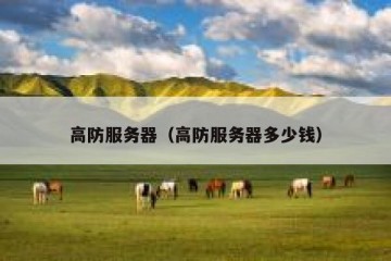 高防服务器（高防服务器多少钱）
