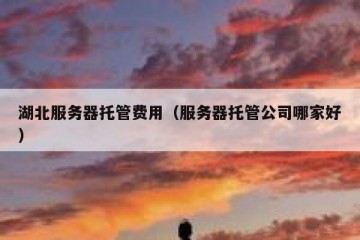 湖北服务器托管费用（服务器托管公司哪家好）