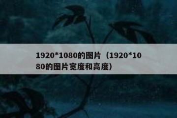 1920*1080的图片（1920*1080的图片宽度和高度）