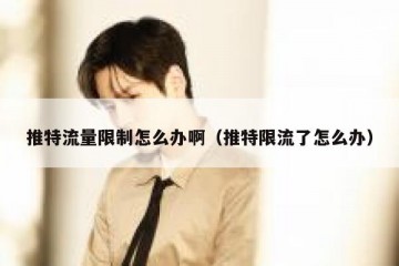 推特流量限制怎么办啊（推特限流了怎么办）