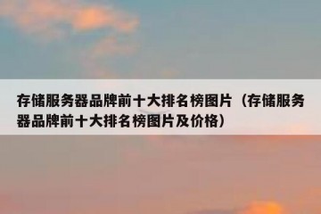 存储服务器品牌前十大排名榜图片（存储服务器品牌前十大排名榜图片及价格）