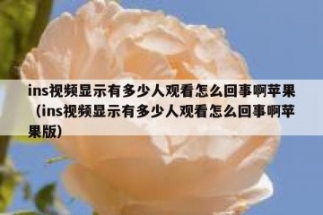 ins视频显示有多少人观看怎么回事啊苹果（ins视频显示有多少人观看怎么回事啊苹果版）