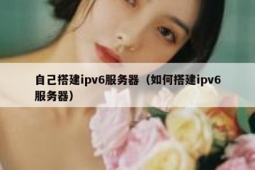 自己搭建ipv6服务器（如何搭建ipv6服务器）