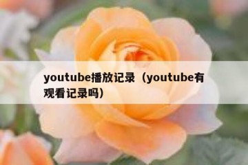 youtube播放记录（youtube有观看记录吗）