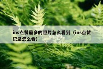 ins点赞最多的照片怎么看到（ins点赞记录怎么看）