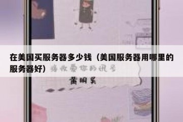 在美国买服务器多少钱（美国服务器用哪里的服务器好）