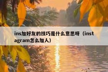 ins加好友的技巧是什么意思呀（instagram怎么加人）