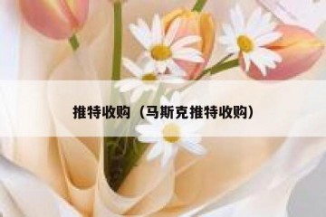 推特收购（马斯克推特收购）
