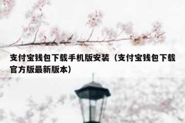 支付宝钱包下载手机版安装（支付宝钱包下载官方版最新版本）