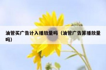 油管买广告计入播放量吗（油管广告算播放量吗）