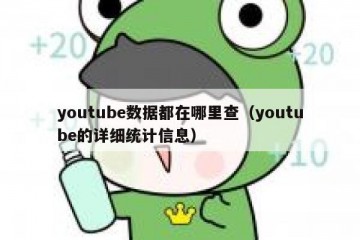 youtube数据都在哪里查（youtube的详细统计信息）