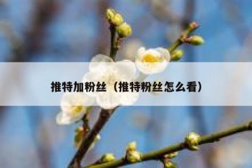 推特加粉丝（推特粉丝怎么看）