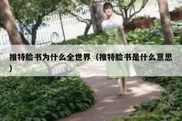 推特脸书为什么全世界（推特脸书是什么意思）