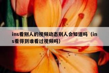 ins看别人的视频动态别人会知道吗（ins看得到谁看过视频吗）