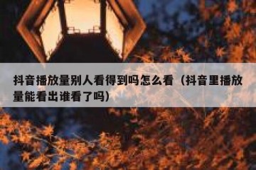 抖音播放量别人看得到吗怎么看（抖音里播放量能看出谁看了吗）