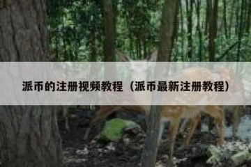 派币的注册视频教程（派币最新注册教程）