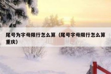 尾号为字母限行怎么算（尾号字母限行怎么算重庆）