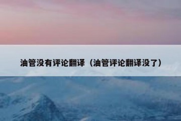 油管没有评论翻译（油管评论翻译没了）