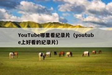 YouTube哪里看纪录片（youtube上好看的纪录片）
