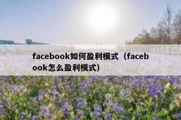 facebook如何盈利模式（facebook怎么盈利模式）