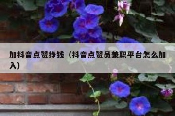 加抖音点赞挣钱（抖音点赞员兼职平台怎么加入）