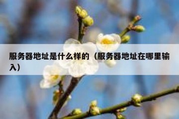 服务器地址是什么样的（服务器地址在哪里输入）