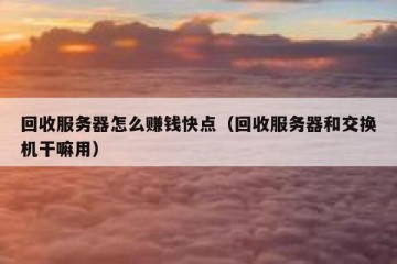 回收服务器怎么赚钱快点（回收服务器和交换机干嘛用）