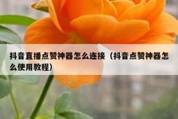 抖音直播点赞神器怎么连接（抖音点赞神器怎么使用教程）