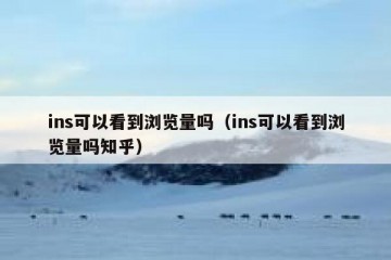 ins可以看到浏览量吗（ins可以看到浏览量吗知乎）