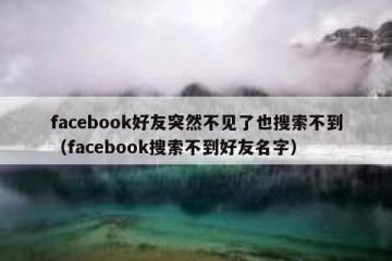 facebook好友突然不见了也搜索不到（facebook搜索不到好友名字）