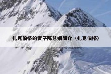 扎克伯格的妻子陈慧娴简介（扎克伯格）
