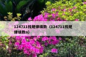 124711找规律填数（124711找规律填数n）