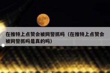 在推特上点赞会被网警抓吗（在推特上点赞会被网警抓吗是真的吗）