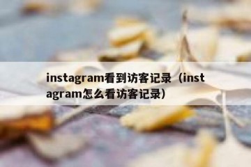 instagram看到访客记录（instagram怎么看访客记录）