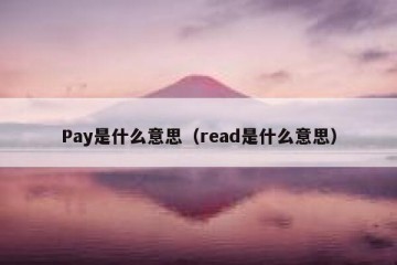 Pay是什么意思（read是什么意思）