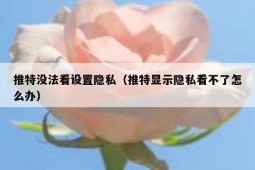 推特没法看设置隐私（推特显示隐私看不了怎么办）