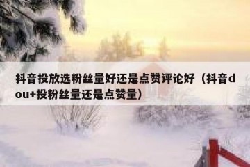 抖音投放选粉丝量好还是点赞评论好（抖音dou+投粉丝量还是点赞量）