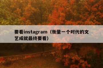 要看instagram（衡量一个时代的文艺成就最终要看）