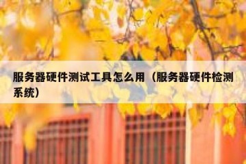 服务器硬件测试工具怎么用（服务器硬件检测系统）