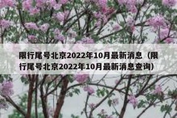 限行尾号北京2022年10月最新消息（限行尾号北京2022年10月最新消息查询）