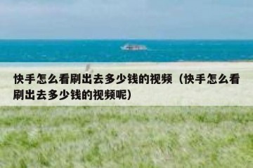 快手怎么看刷出去多少钱的视频（快手怎么看刷出去多少钱的视频呢）