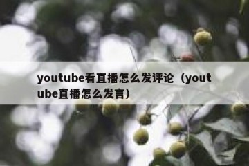 youtube看直播怎么发评论（youtube直播怎么发言）